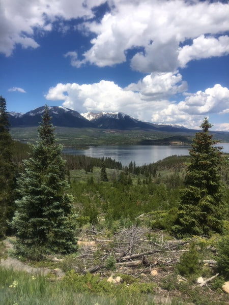 Nature is Healing