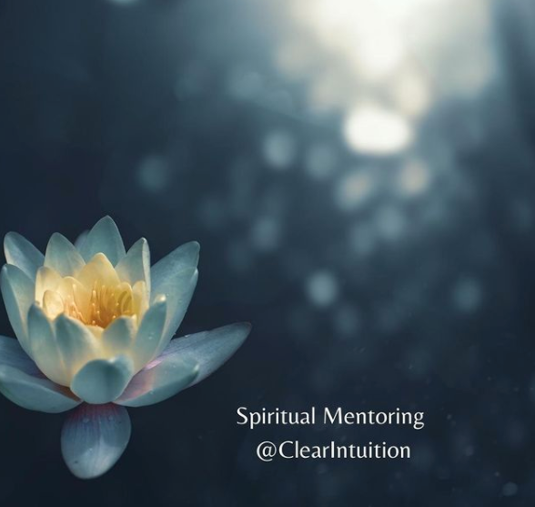 Discover Your Spiritual Nature with Spiritual Mentoring