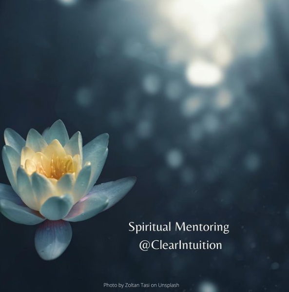 Is Spiritual Mentoring For you?