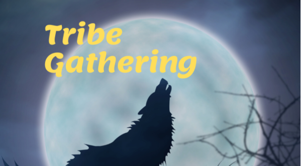 Register for The Tribe Online Gathering - May 24, 2021