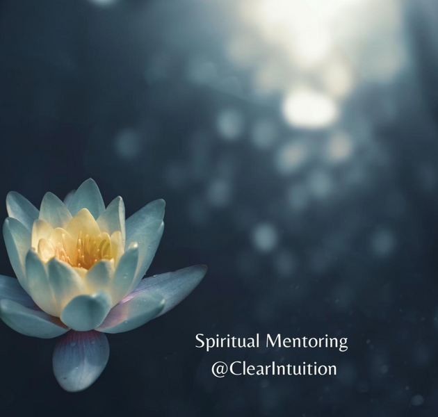 Curious about Spiritual Mentoring?