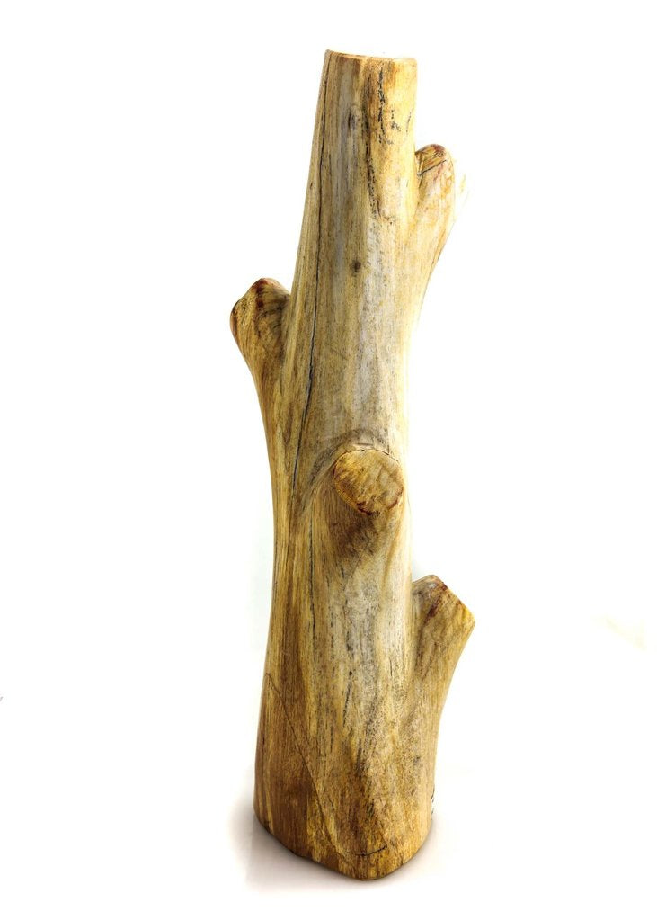 Petrified Wood Standing Branch